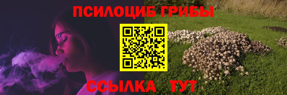 Усть-Илимск  закладка  Вход с VPN  Псилоцибиновые грибы GOLDEN TEACHER 